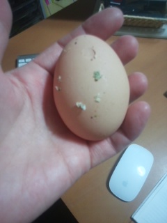 f:id:connectronkobe:20140927202854j:image:w360