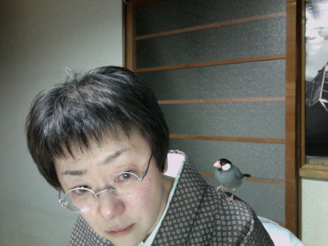 f:id:connectronkobe:20141214190156j:image:w360