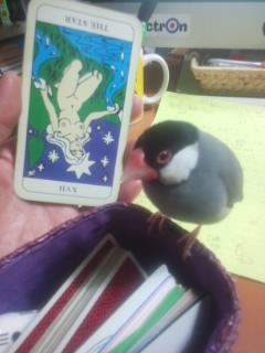 f:id:connectronkobe:20150225090045j:image:w500 f:id:connectronkobe:20150225090045j:image:w500