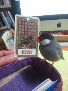 f:id:connectronkobe:20150225092145j:image:w500 f:id:connectronkobe:20150225092145j:image:w500