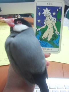 f:id:connectronkobe:20150225101634j:image:w500 f:id:connectronkobe:20150225101634j:image:w500