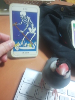 f:id:connectronkobe:20150302074640j:image:w360