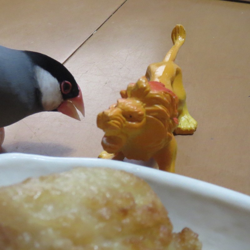 f:id:connectronkobe:20150308124856j:image:w500