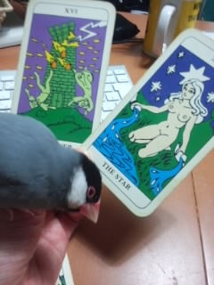 f:id:connectronkobe:20150312121414j:image:w500