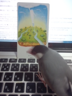 f:id:connectronkobe:20150327150711j:image:w400