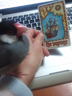 f:id:connectronkobe:20150419063402j:image:w400