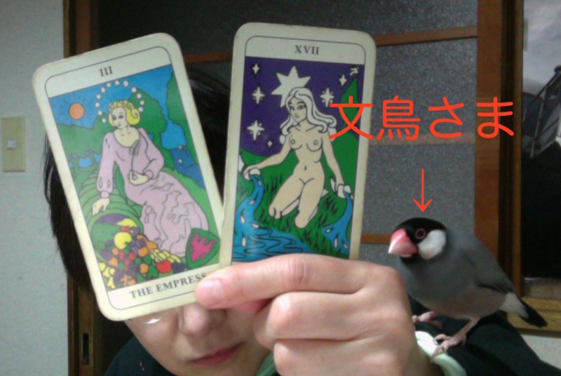 f:id:connectronkobe:20160112174620j:image f:id:connectronkobe:20160112174620j:image