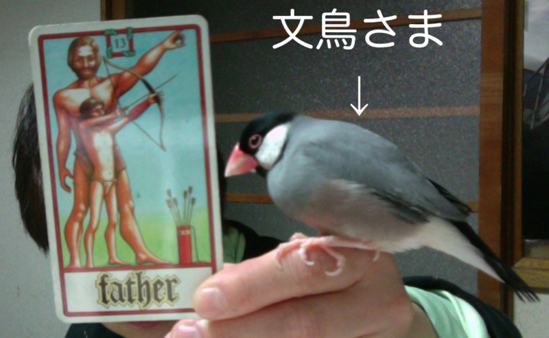 f:id:connectronkobe:20160112180402j:image f:id:connectronkobe:20160112180402j:image