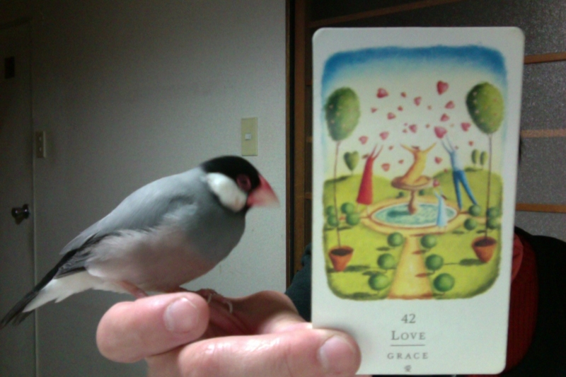 f:id:connectronkobe:20160202191213j:image:w500