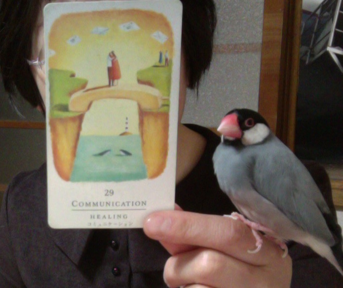 f:id:connectronkobe:20160504082514j:image:w500