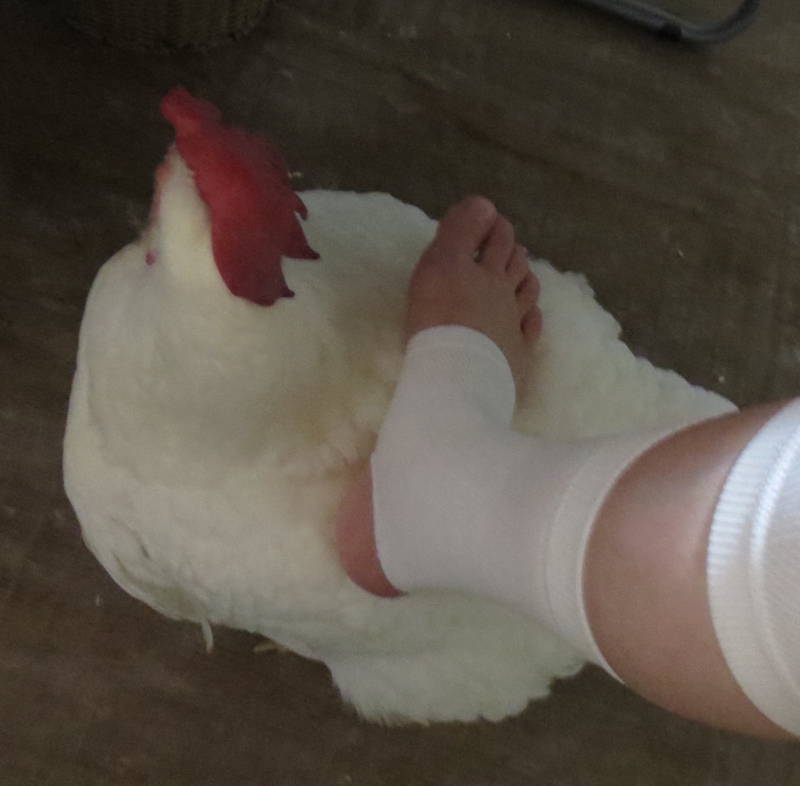 f:id:connectronkobe:20160519090224j:image:w360