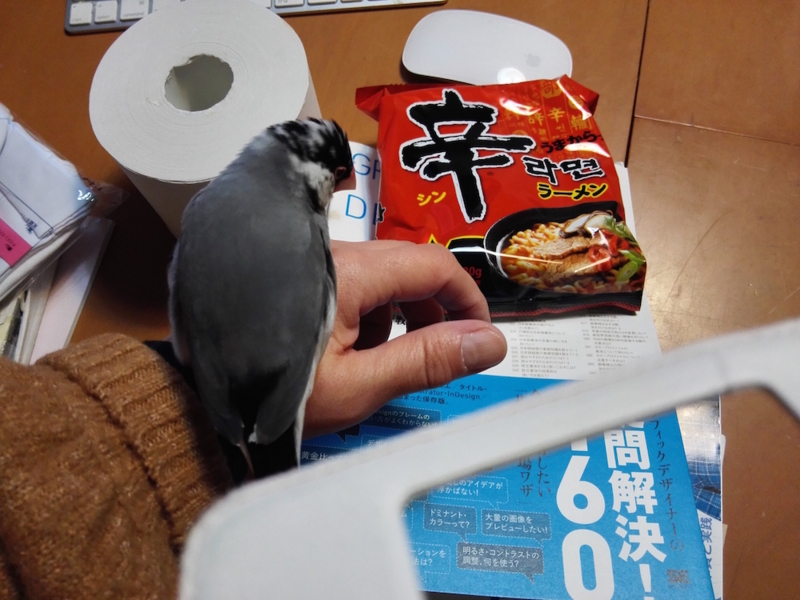 f:id:connectronkobe:20180113145339j:image