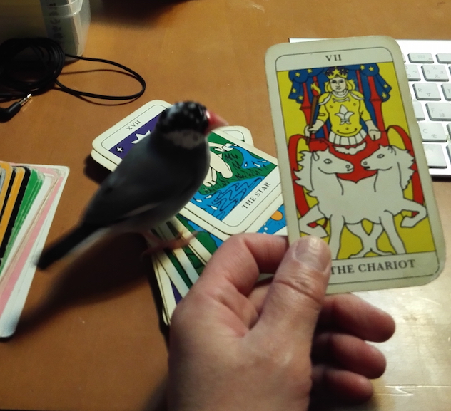 f:id:connectronkobe:20180228111303j:image