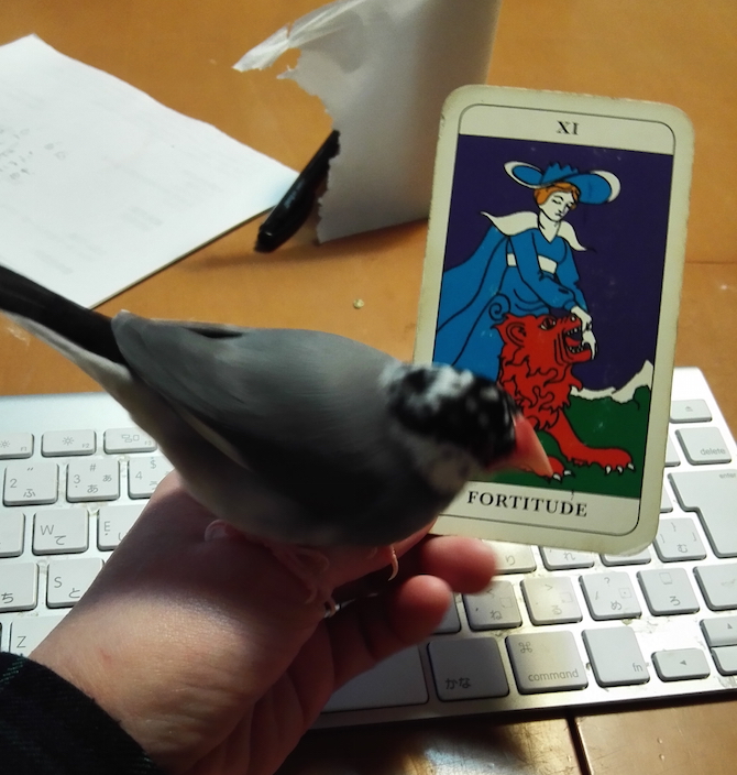 f:id:connectronkobe:20180228112309j:image