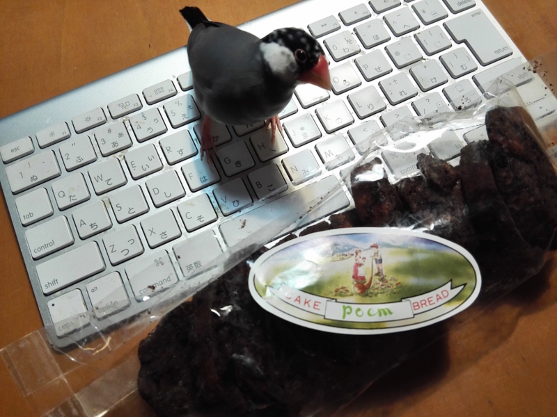 f:id:connectronkobe:20180402160659j:image f:id:connectronkobe:20180402160659j:image