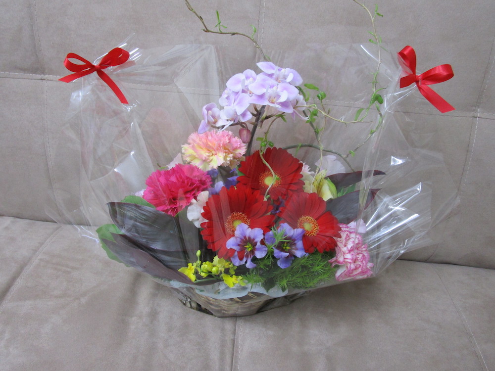 f:id:connectronkobe:20190325222328j:plain