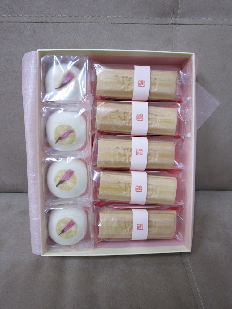 f:id:connectronkobe:20190325223011j:plain