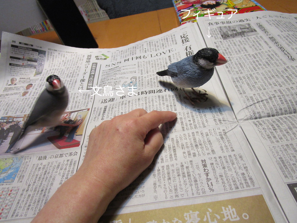 f:id:connectronkobe:20190326071235j:plain