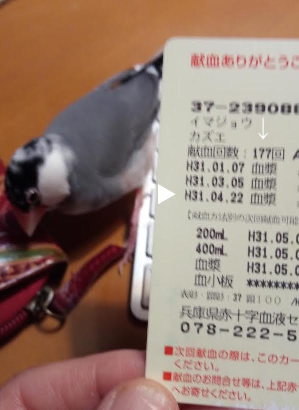 f:id:connectronkobe:20190423071446j:plain