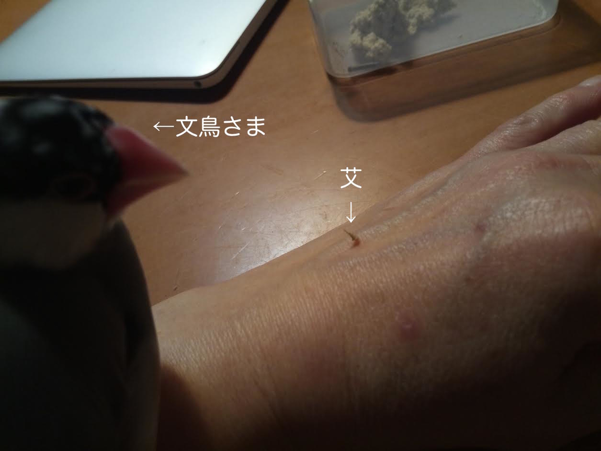 f:id:connectronkobe:20190425193149j:plain