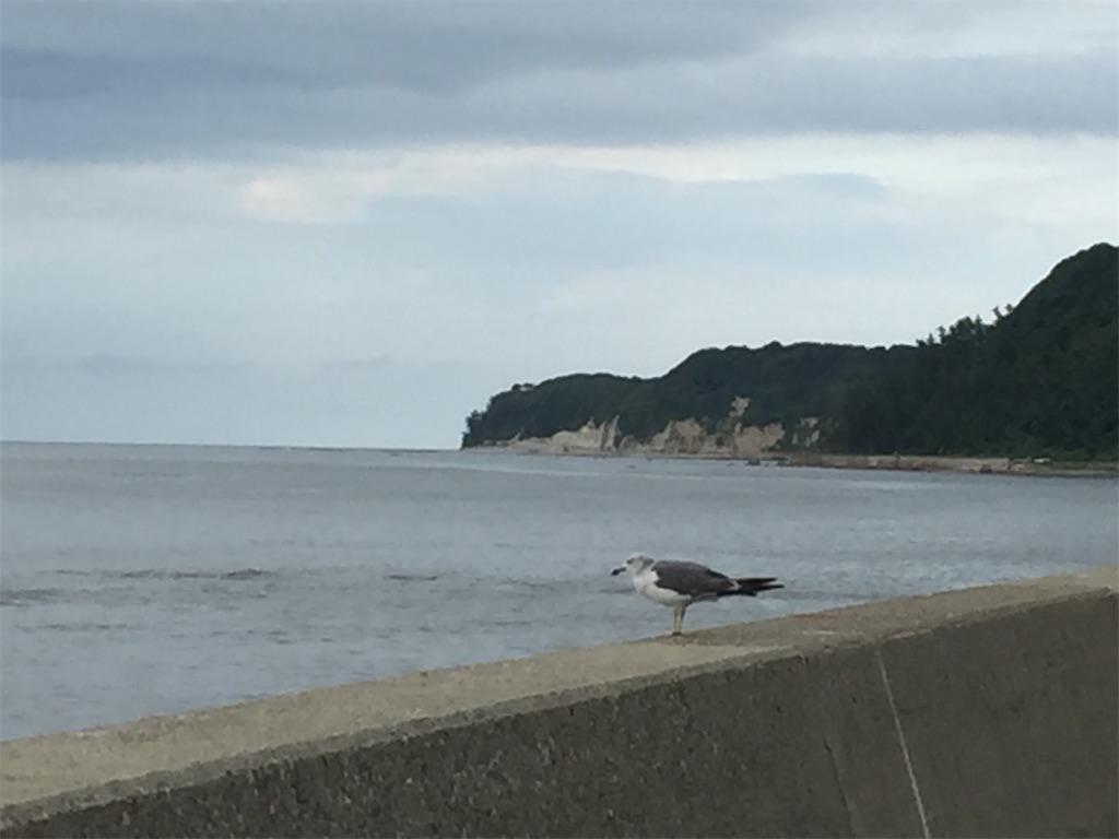 f:id:connecttothepoint86:20210626213801j:image