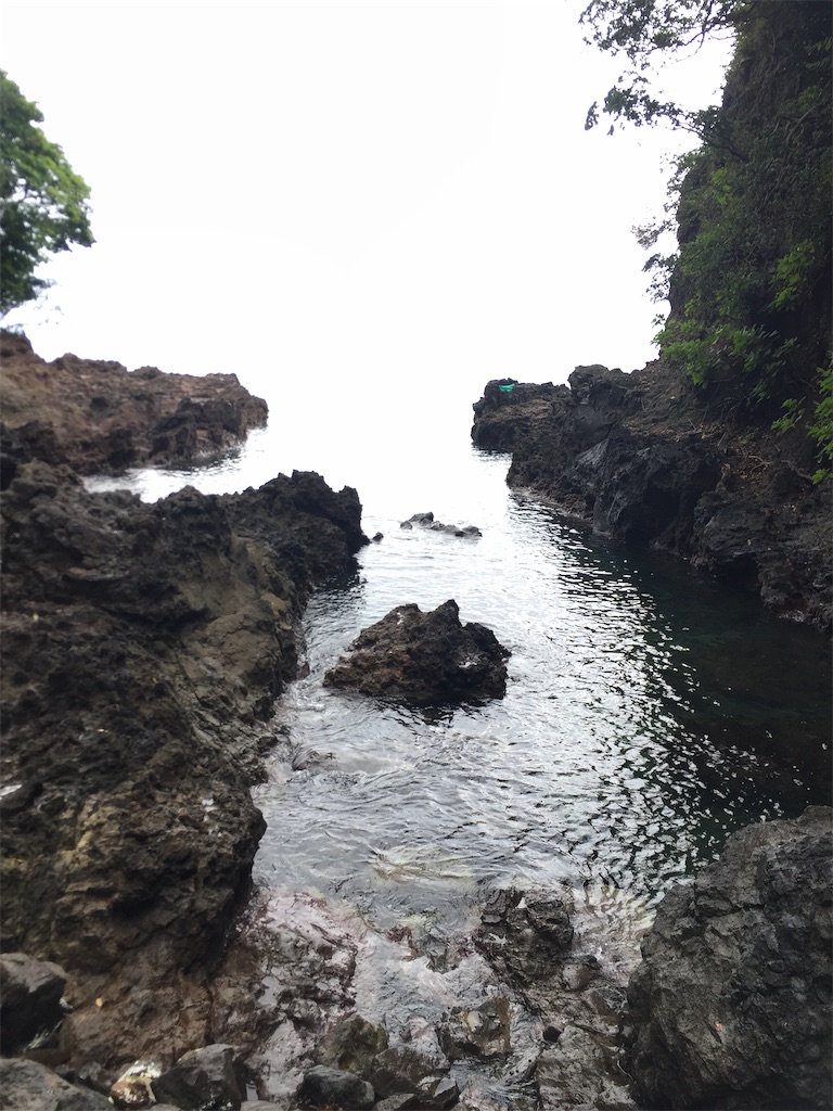 f:id:connecttothepoint86:20210701220410j:image