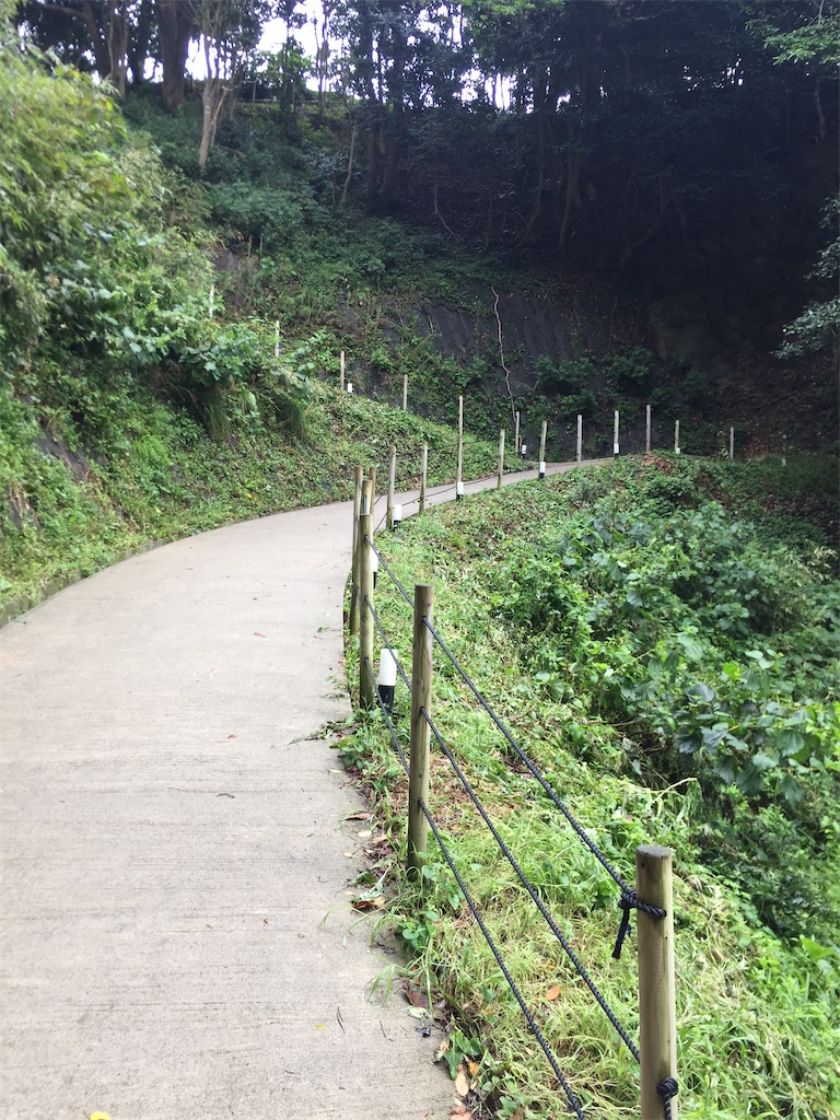 f:id:connecttothepoint86:20210701220417j:image