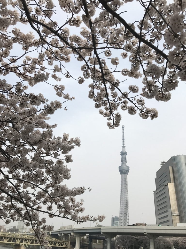 f:id:conneru:20180330191056j:plain f:id:conneru:20180330191056j:plain