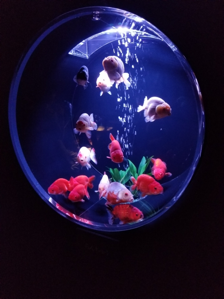 f:id:conneru:20180712153030j:plain
