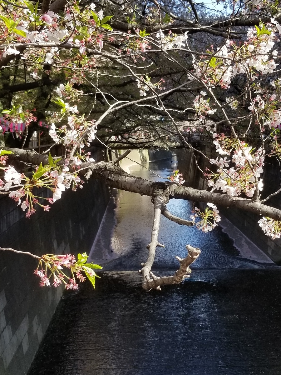 f:id:conneru:20190411083812j:plain