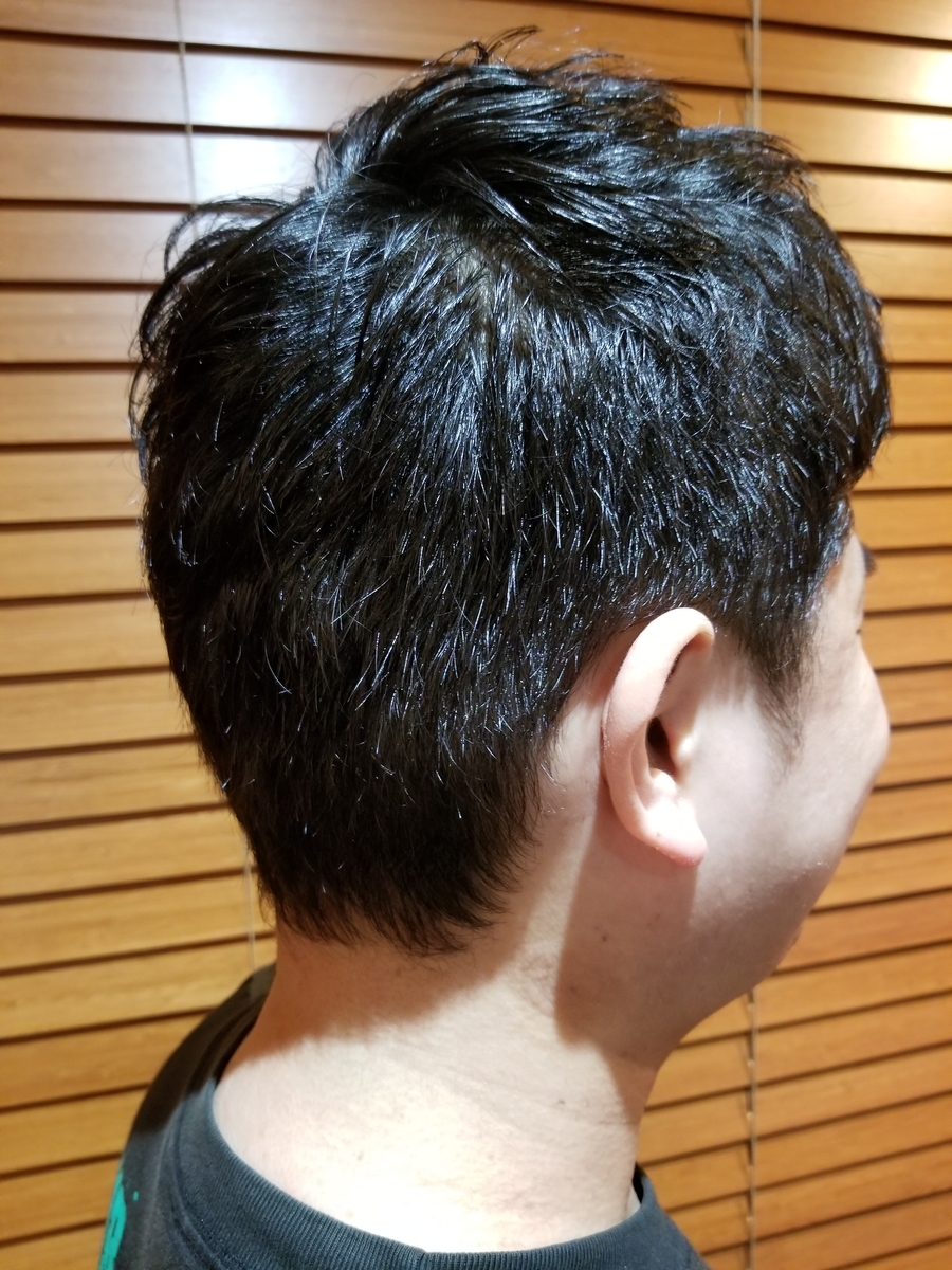 f:id:conneru:20190524082820j:plain f:id:conneru:20190524082820j:plain