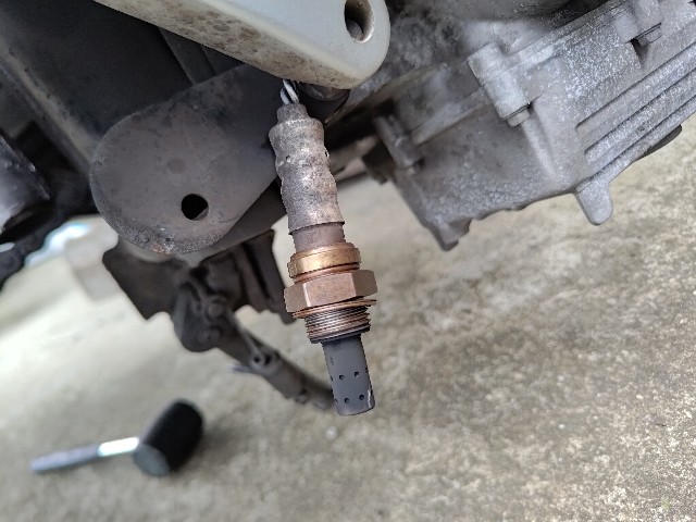 f:id:cono_ya:20240624114203j:image