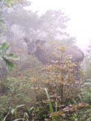 f:id:conokix:20060915235138j:image f:id:conokix:20060915235138j:image