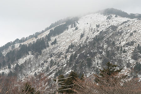 大菩薩嶺とほったらかし温泉 街森研究所