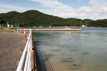 美浜原発の放水口付近