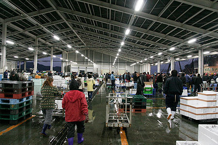 f:id:conokix:20090209001635j:image f:id:conokix:20090209001635j:image