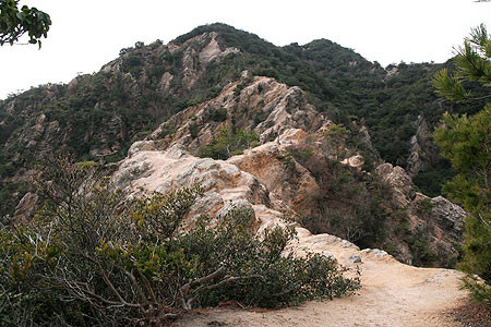 f:id:conokix:20100211151845j:image f:id:conokix:20100211151845j:image