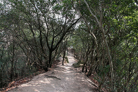 f:id:conokix:20100211151851j:image f:id:conokix:20100211151851j:image