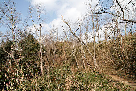 f:id:conokix:20100211151853j:image f:id:conokix:20100211151853j:image