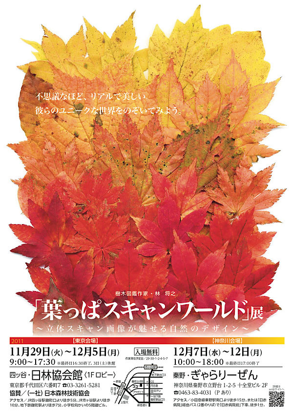 f:id:conokix:20111121181448j:image