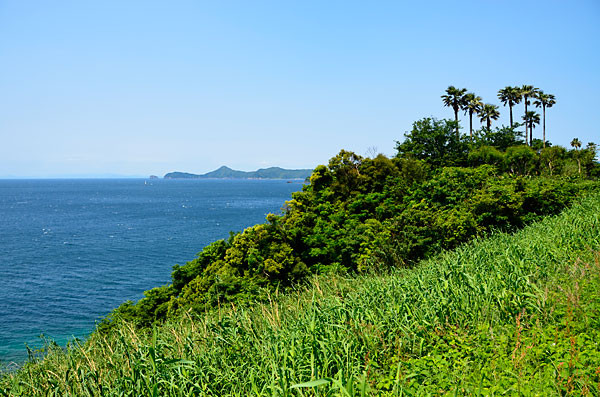 f:id:conokix:20120618194007j:image