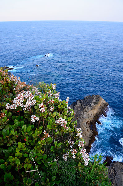 f:id:conokix:20120618194009j:image