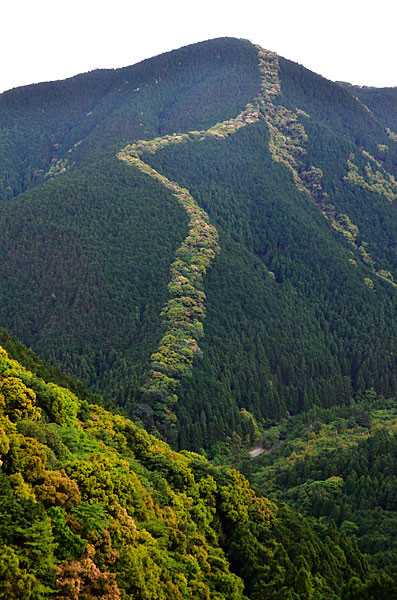f:id:conokix:20120618194016j:image