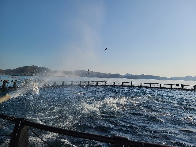 f:id:conosole:20210201205951j:image