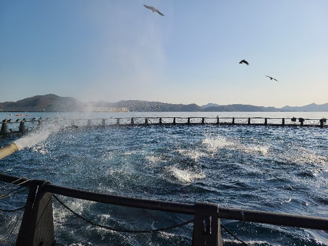 f:id:conosole:20210201210049j:image