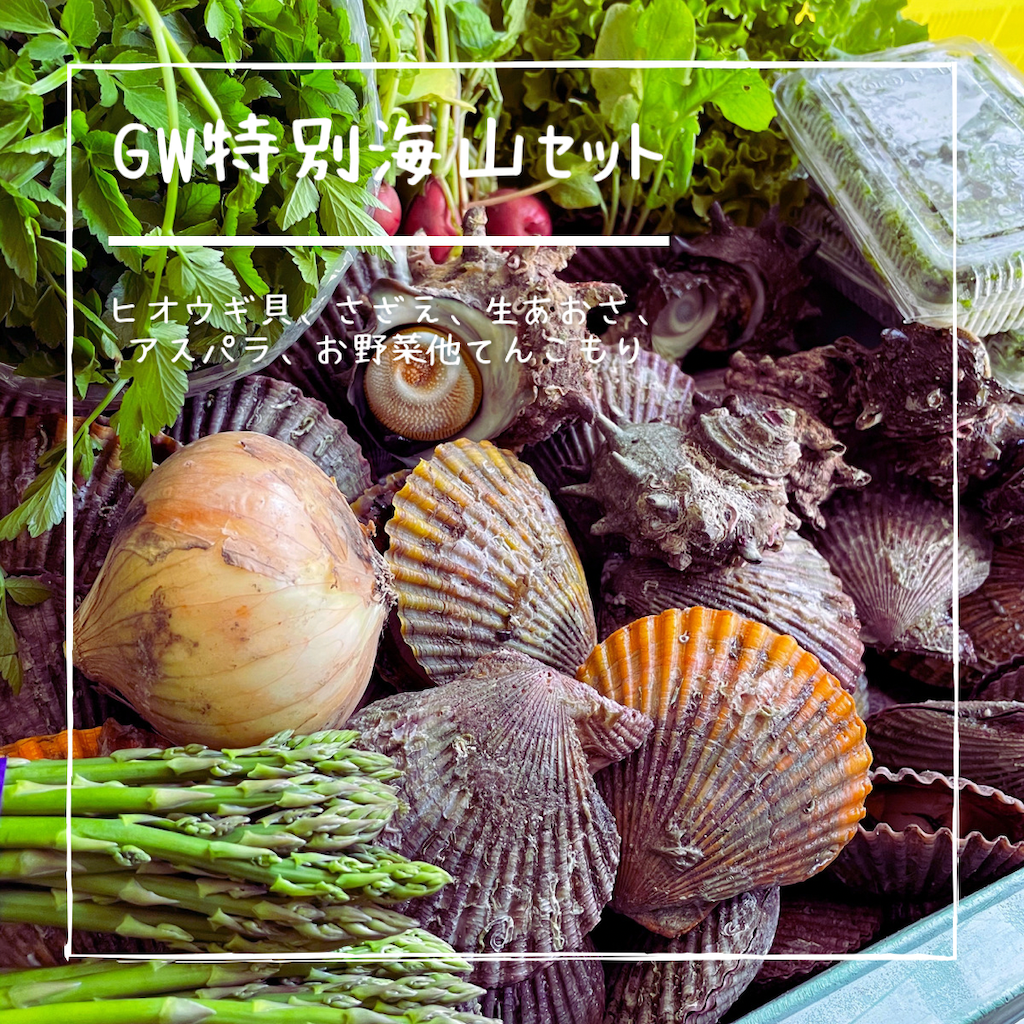 f:id:conosole:20210502062752p:image f:id:conosole:20210502062752p:image