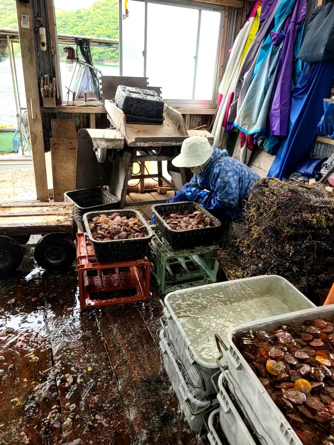 f:id:conosole:20210514215608j:image