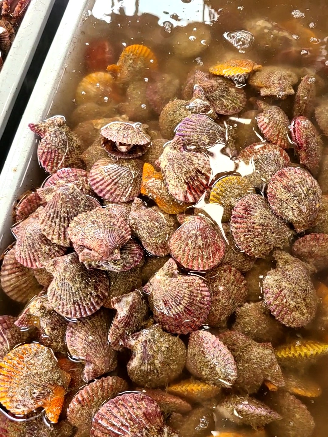 f:id:conosole:20210514215809j:image