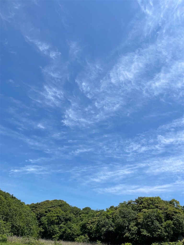 f:id:conosole:20210519211339j:image