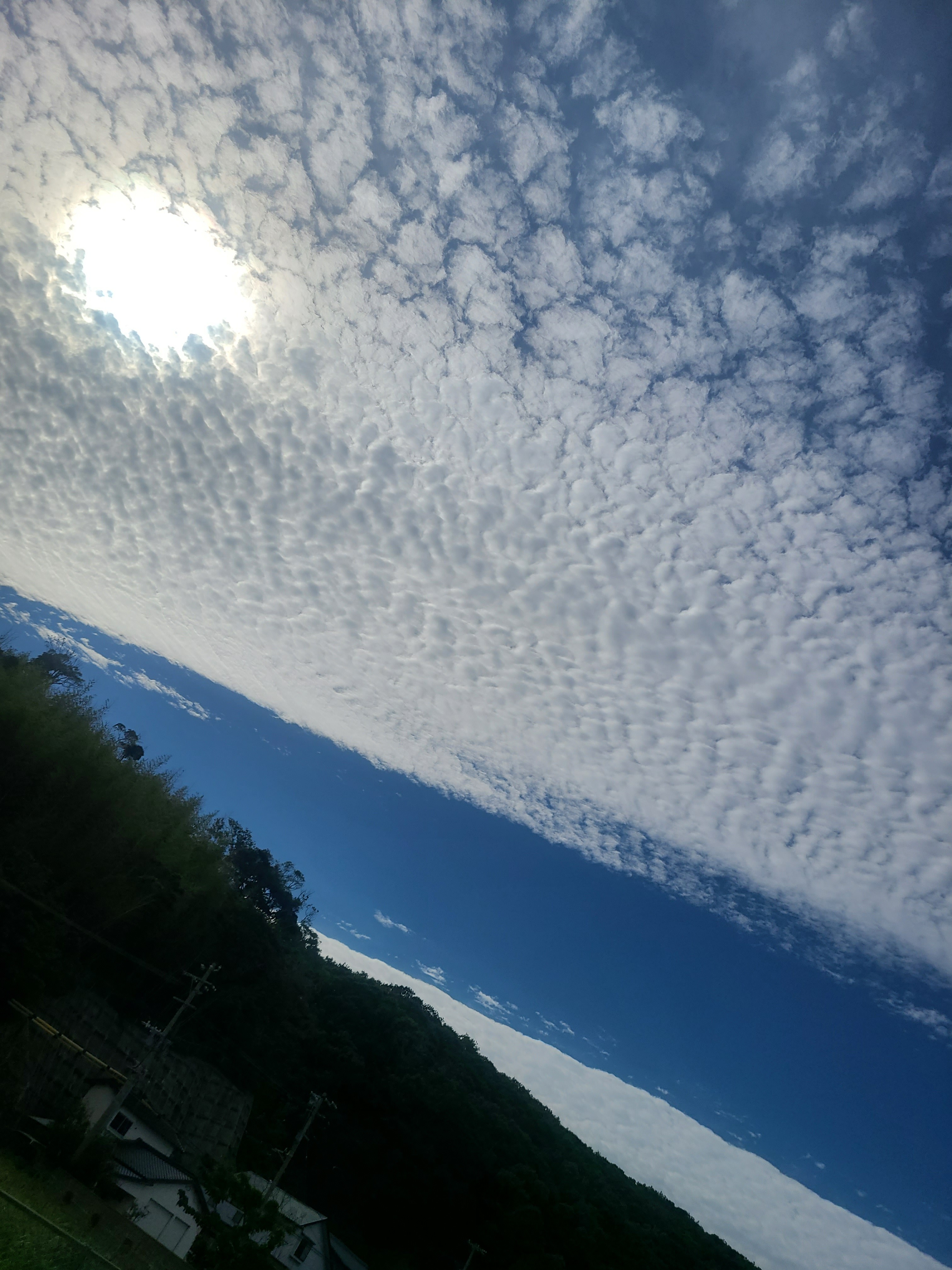f:id:conosole:20210604220520j:image